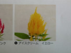 iC[W2